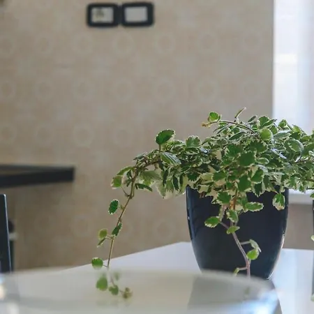 Casa Da Santina - Trilocale Con Giardino Apartment *